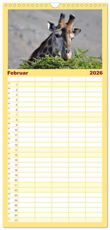 Produktbild: Familienplaner 2026 - S&uuml;dafrika - Big 5 und mehr mit 5 Spalten (Wandkalender, 21 x 45 cm) CALVENDO