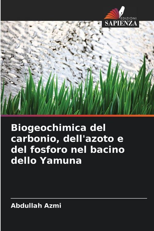 Produktbild: Biogeochimica del carbonio, dell'azoto e del fosforo nel bacino dello Yamuna