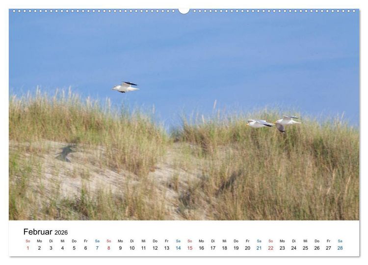 Produktbild: Seeland - Impressionen aus dem S&uuml;dwesten der Niederlande (hochwertiger Premium Wandkalender 2026 DIN A2 quer), Kunstdruck in Hochglanz