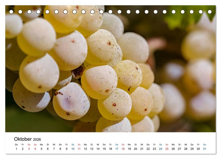 Produktbild: Rheingau - Rhein Riesling Kultur (Tischkalender 2026 DIN A5 quer), CALVENDO Monatskalender