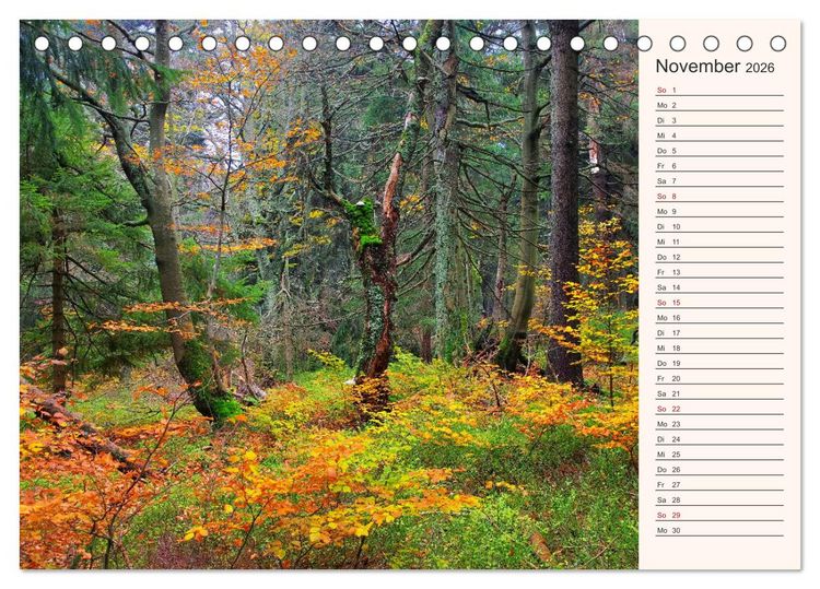 Produktbild: Riesengebirge - Zwischen Schlesien und B&ouml;hmen (Tischkalender 2026 DIN A5 quer), CALVENDO Monatskalender