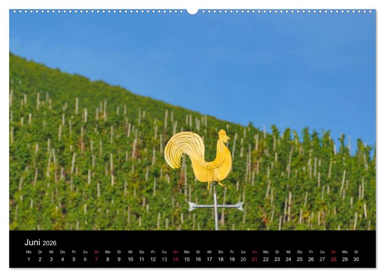Produktbild: Sch&ouml;ne Mosel (Wandkalender 2026 DIN A2 quer), CALVENDO Monatskalender