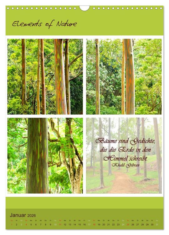 Produktbild: Elements of Nature (Wandkalender 2026 DIN A3 hoch), CALVENDO Monatskalender