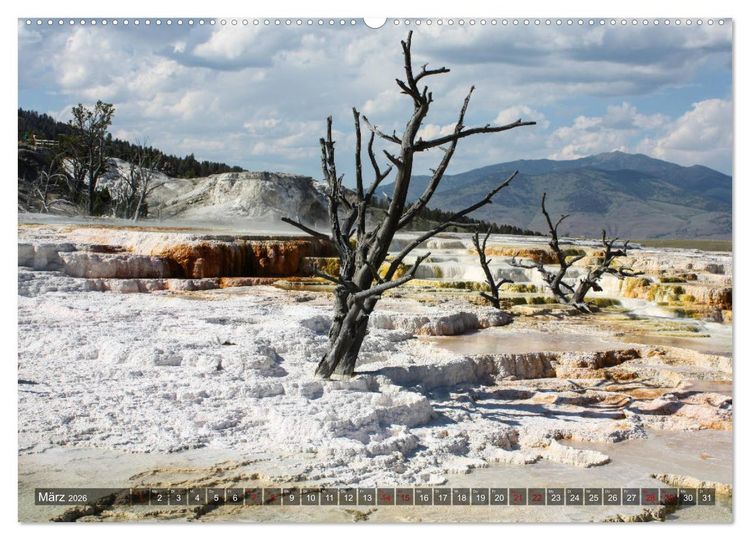 Produktbild: Farben des Yellowstone National Park 2026 (hochwertiger Premium Wandkalender 2026 DIN A2 quer), Kunstdruck in Hochglanz