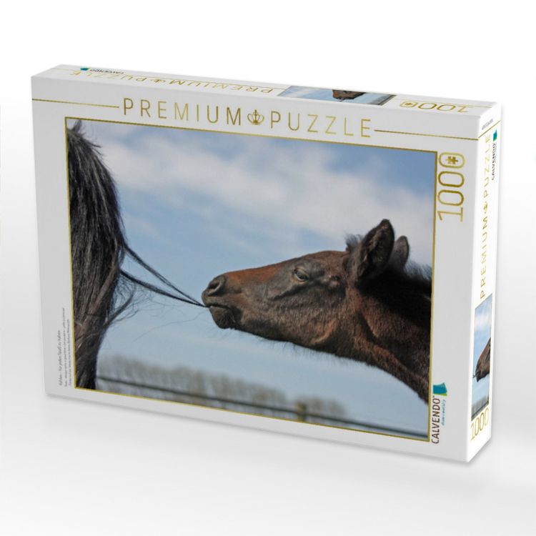 Produktbild: CALVENDO Puzzle Fohlen - f&uuml;r jeden Spa&szlig; zu haben | 1000 Teile Lege-Gr&ouml;&szlig;e 64x48cm Foto-Puzzle f&uuml;r gl&uuml;ckliche Stunden