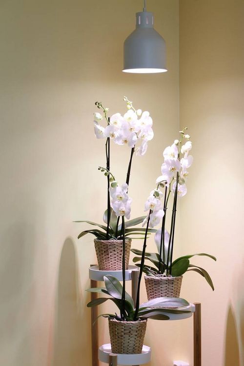 Produktbild: Venso Lampenschirm Saga 22cm 230V E27 18W 1St.