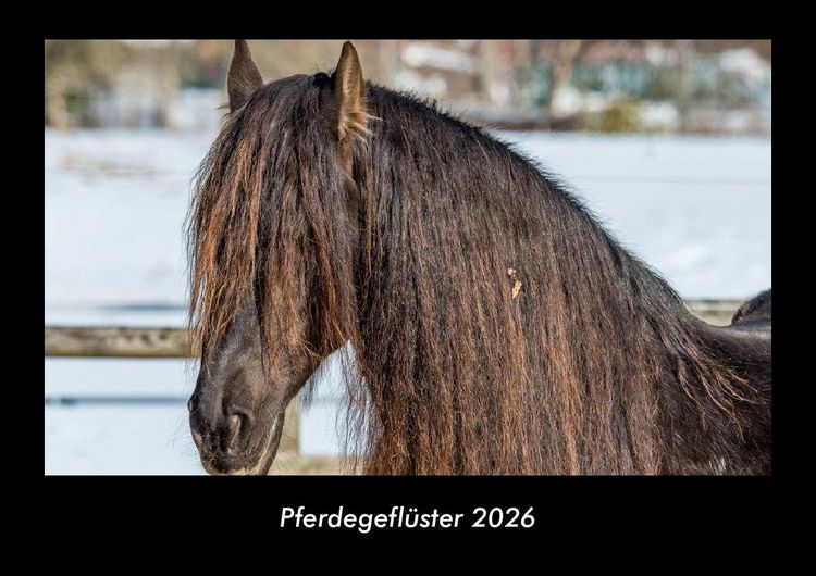 Produktbild: Pferdegefl&uuml;ster 2026 Fotokalender DIN A3