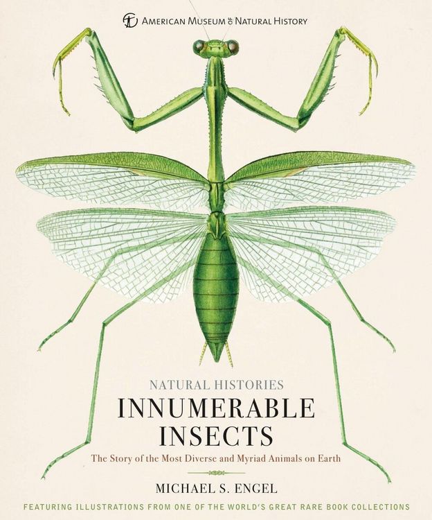 Produktbild: Innumerable Insects
