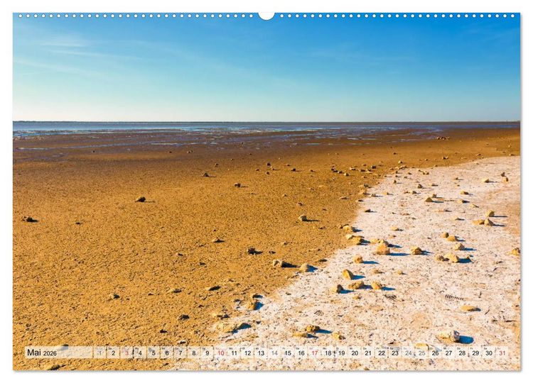 Produktbild: Camargue - Der wilde S&uuml;den Frankreichs (hochwertiger Premium Wandkalender 2026 DIN A2 quer), Kunstdruck in Hochglanz