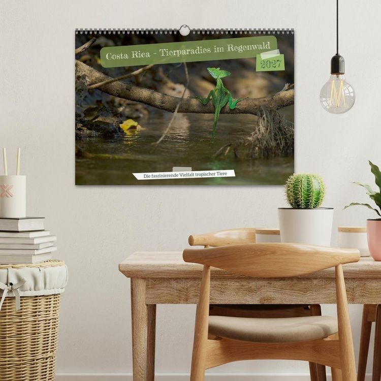 Produktbild: Costa Rica &ndash; Tierparadies im Regenwald (Wandkalender 2027 DIN A3 quer), CALVENDO Monatskalender