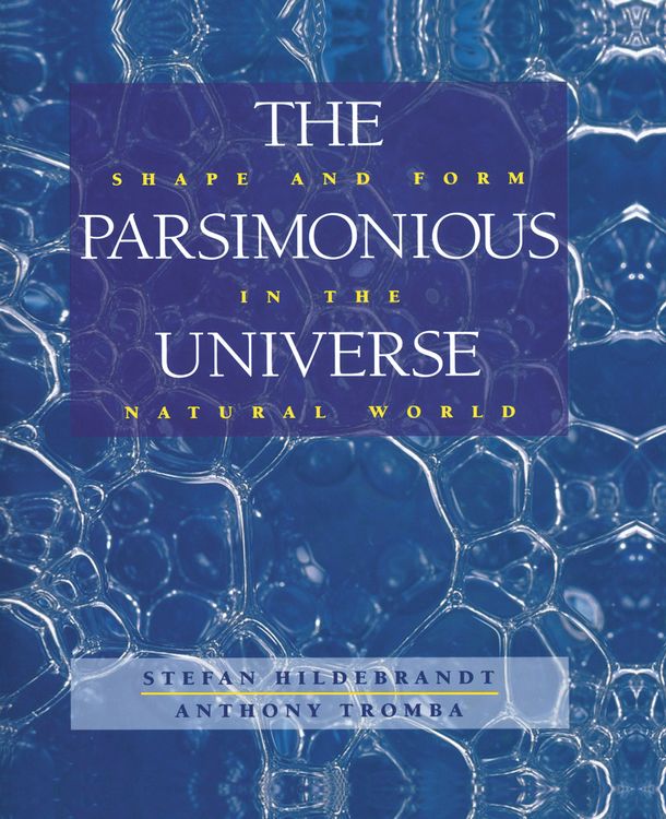 Produktbild: The Parsimonious Universe