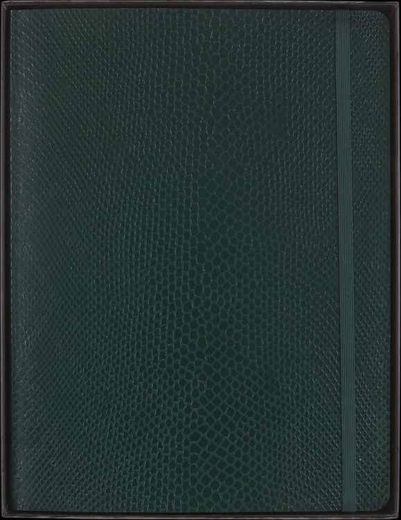 Produktbild: Moleskine Vegea Boa Notizbuch, XL, liniert, weicher Einband, gr&uuml;n, in Box
