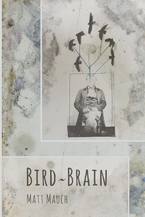 Produktbild: Bird~Brain