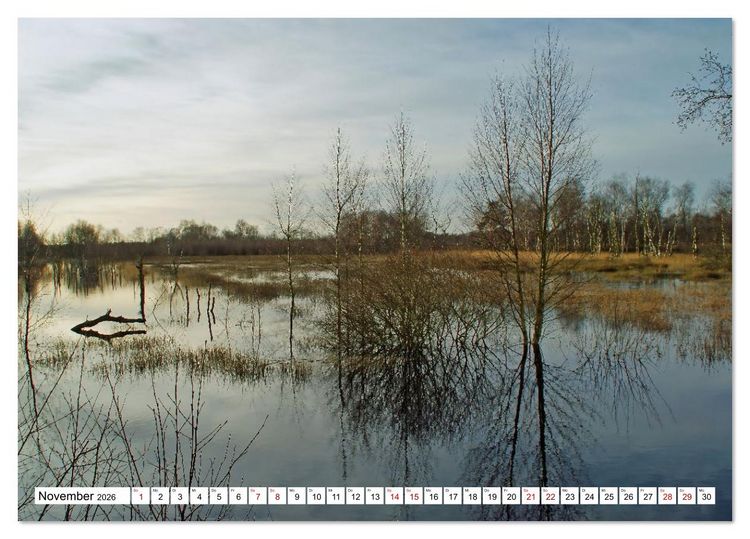 Produktbild: Impressionen aus dem Moor (Tischkalender 2026 DIN A5 quer), CALVENDO Monatskalender