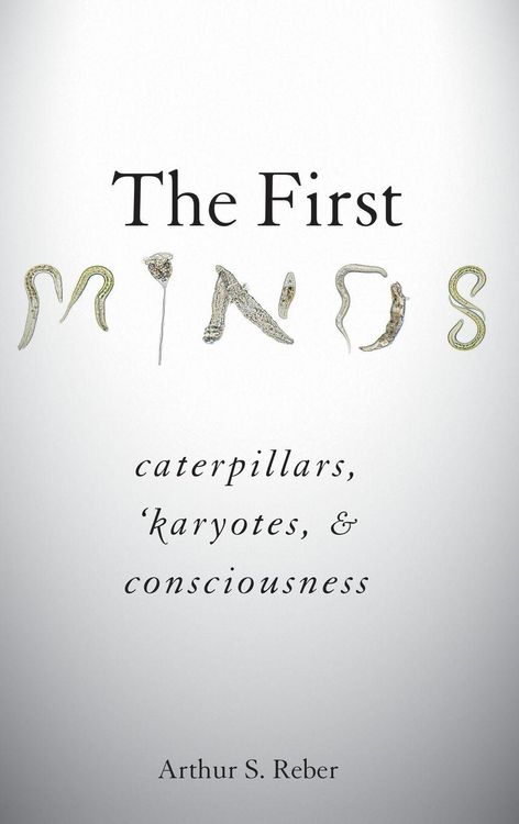 Produktbild: First Minds