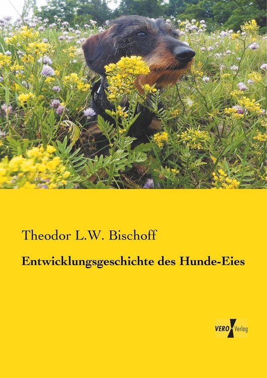 Produktbild: Entwicklungsgeschichte des Hunde-Eies