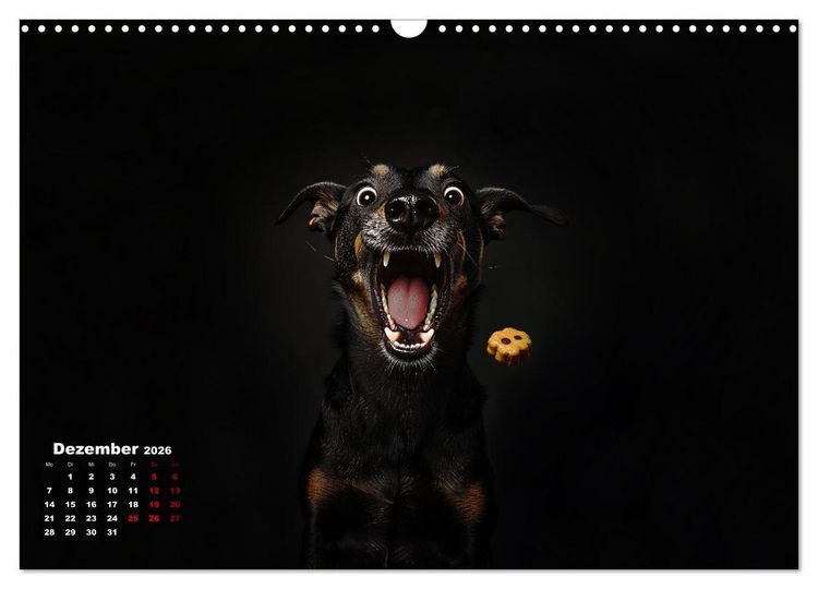 Produktbild: Leckerchen! (Wandkalender 2026 DIN A3 quer), CALVENDO Monatskalender