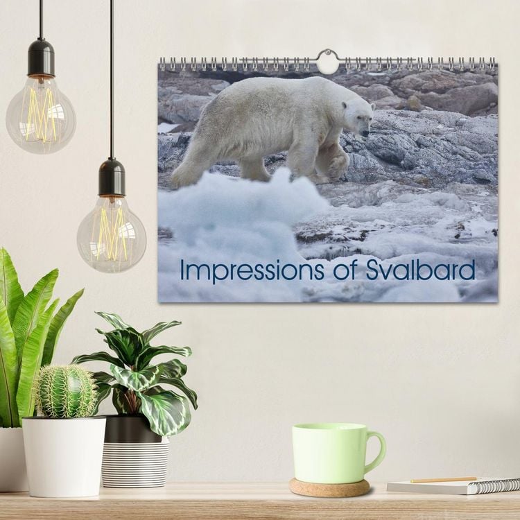 Produktbild: Impressions of Svalbard (Wall Calendar 2026 DIN A4 landscape), CALVENDO 12 Month Wall Calendar