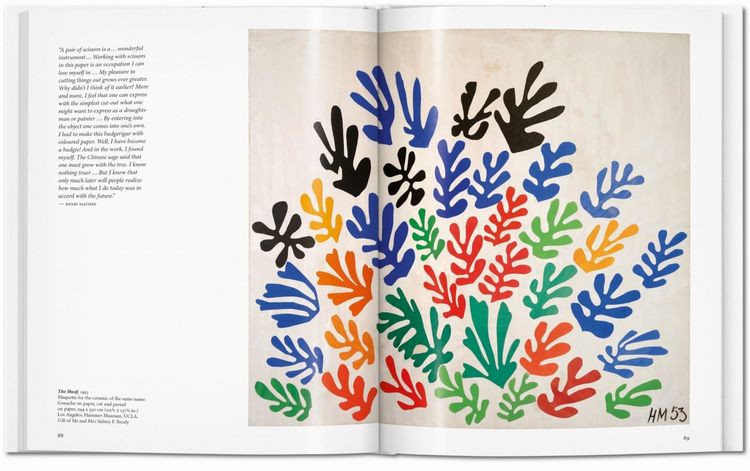 Produktbild: Matisse