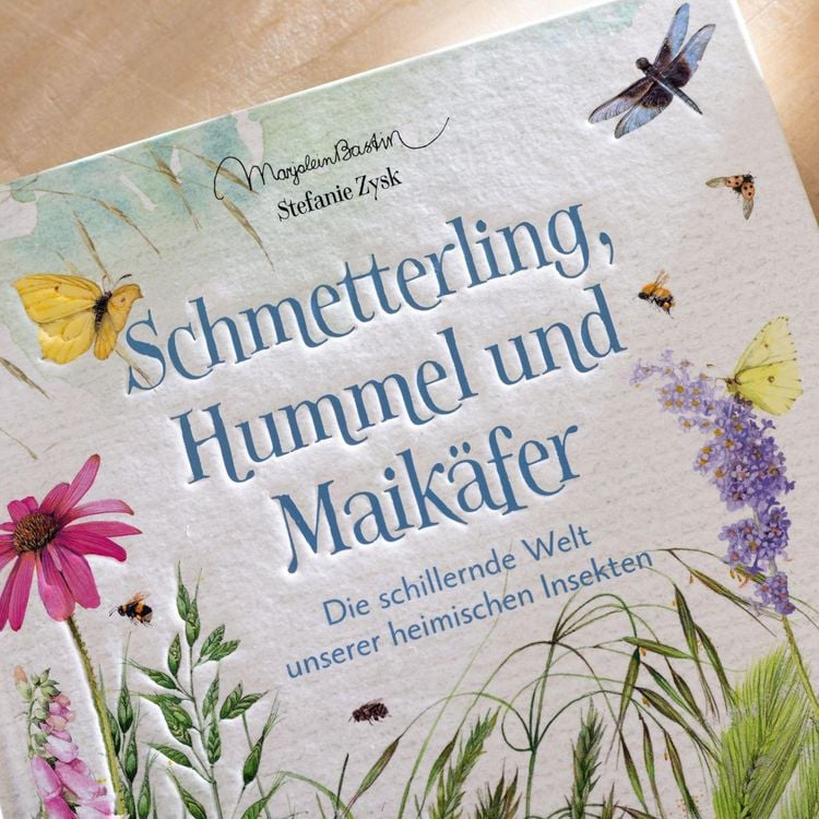 Produktbild: Schmetterling, Hummel und Maik&auml;fer