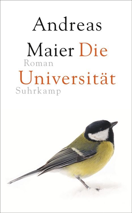 Bild vom Artikel Die Universität vom Autor Andreas Maier
