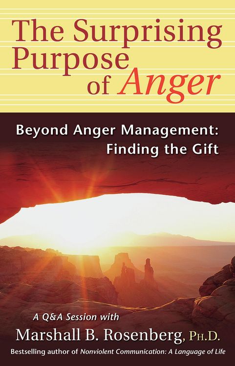 Produktbild: Surprising Purpose of Anger