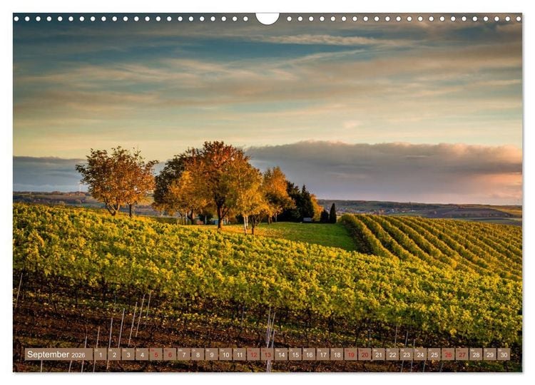 Produktbild: Rheinhessen-Impressionen (Wandkalender 2026 DIN A3 quer), CALVENDO Monatskalender