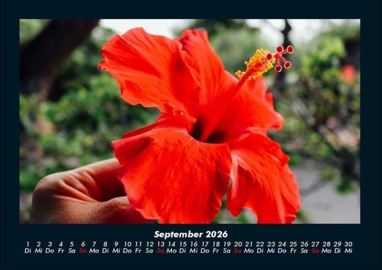Produktbild: Blumentr&auml;ume 2026 Fotokalender DIN A4