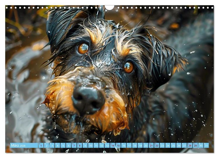 Produktbild: Hunde und Wasser (Wandkalender 2026 DIN A3 quer), CALVENDO Monatskalender