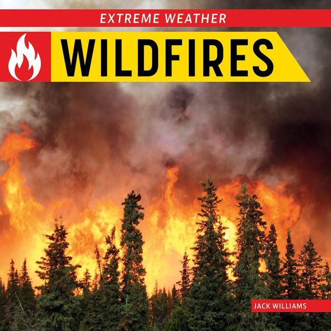 Produktbild: Wildfires