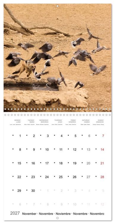 Produktbild: Adventure South Africa 2027 (Wall Calendar 2027 12 &times; 12 Inch) CALVENDO 12 Month Wall Calendar
