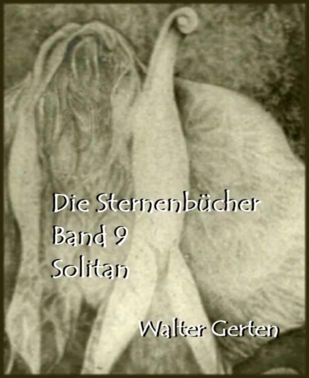 Produktbild: Die Sternenb&uuml;cher Band 9 Solitan