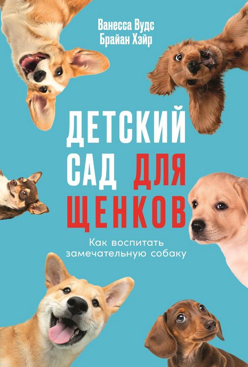 Produktbild: Detskiy sad dlya shchenkov: Kak vospitat' zamechatel'nuyu sobaku