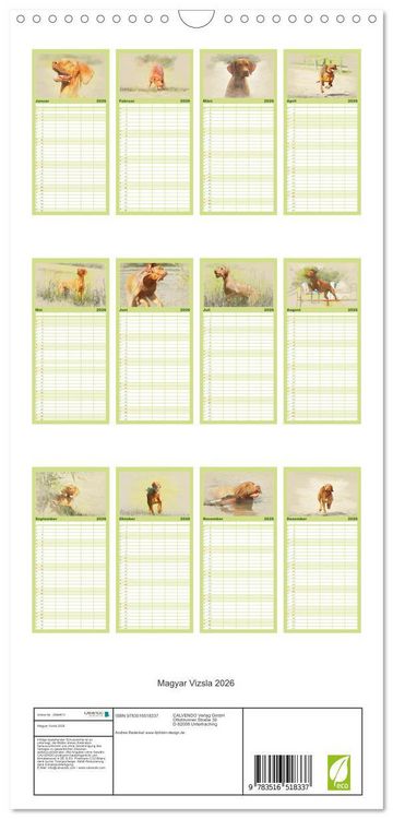 Produktbild: Familienplaner 2026 - Magyar Vizsla 2026 mit 5 Spalten (Wandkalender, 21 x 45 cm) CALVENDO