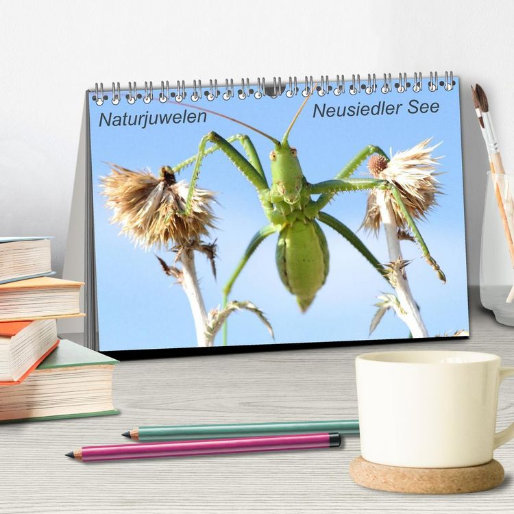 Produktbild: Naturjuwelen - Neusiedler See (Tischkalender 2026 DIN A5 quer), CALVENDO Monatskalender