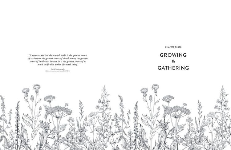 Produktbild: Collins Botanical Bible