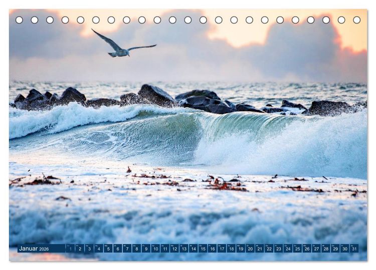 Produktbild: Helgoland - Das Leben auf der D&uuml;ne Helgolands (Tischkalender 2026 DIN A5 quer), CALVENDO Monatskalender