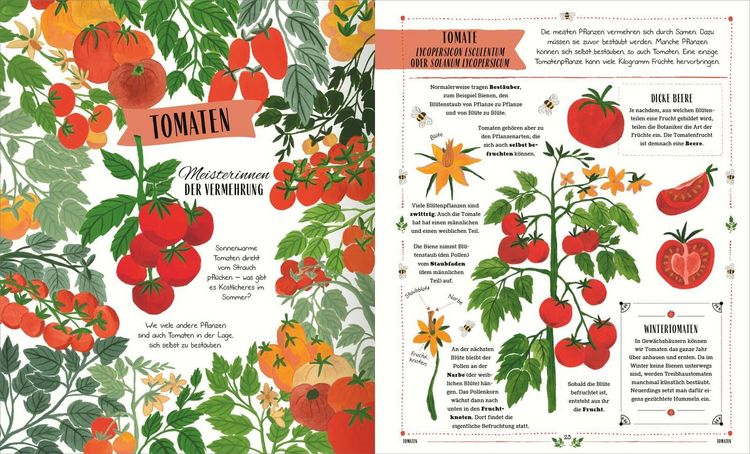 Produktbild: Im Garten