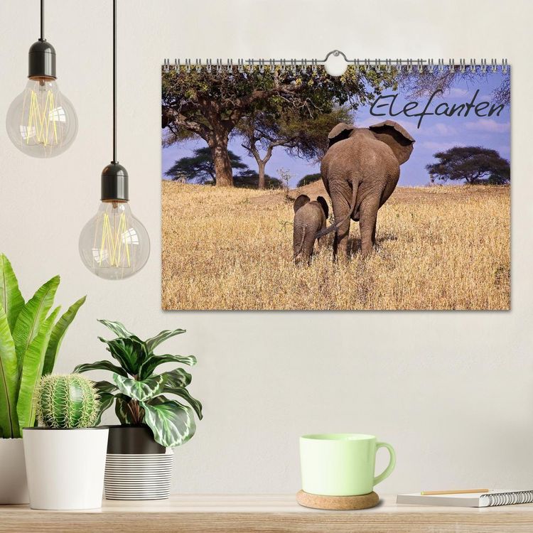 Produktbild: Elefanten (Wandkalender 2027 DIN A4 quer), CALVENDO Monatskalender