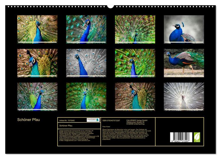 Produktbild: Sch&ouml;ner Pfau (hochwertiger Premium Wandkalender 2026 DIN A2 quer), Kunstdruck in Hochglanz