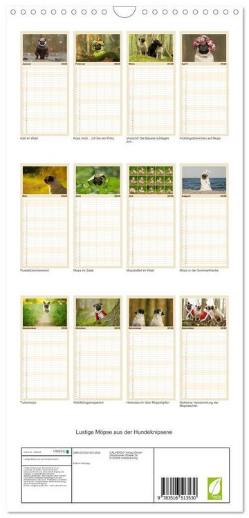 Produktbild: Familienplaner 2026 - Lustige M&ouml;pse aus der Hundeknipserei mit 5 Spalten (Wandkalender, 21 x 45 cm) CALVENDO