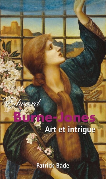 Produktbild: Edward Burne-Jones : Art et intrigue