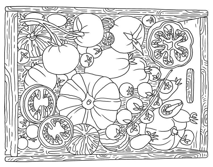 Produktbild: Country Life Coloring Book