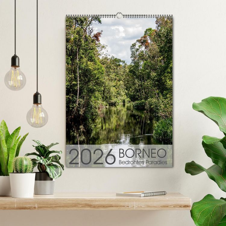 Produktbild: BORNEO Bedrohtes Paradies (Wandkalender 2026 DIN A2 hoch), CALVENDO Monatskalender