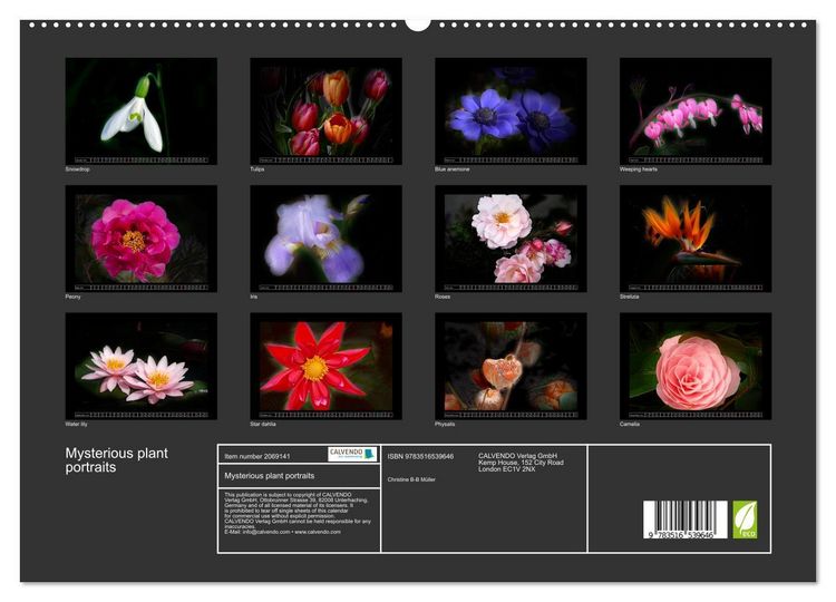 Produktbild: Mysterious plant portraits (High Quality Premium Wall Calendar 2026 DIN A2 landscape),CALVENDO 12 Month Wall Calendar
