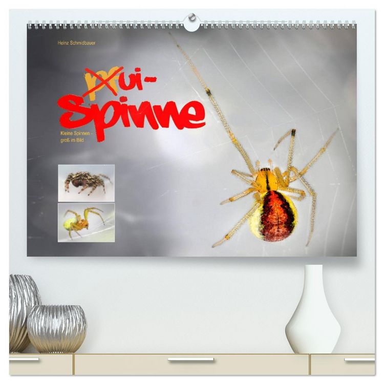 Produktbild: ui - Spinne. Kleine Spinnen - gro&szlig; im Bild (hochwertiger Premium Wandkalender 2026 DIN A2 quer), Kunstdruck in Hochglanz