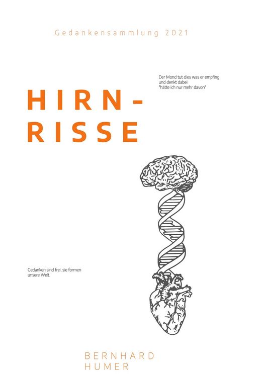 Produktbild: Hirnrisse