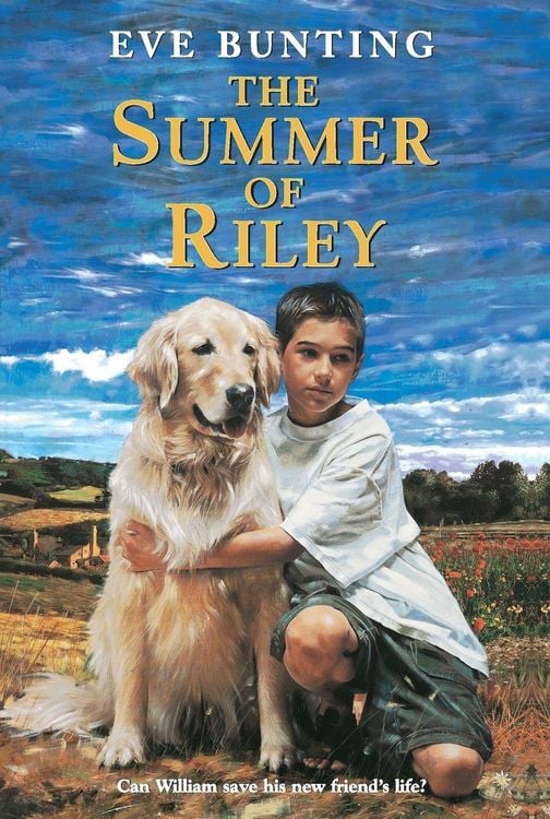 Produktbild: The Summer of Riley