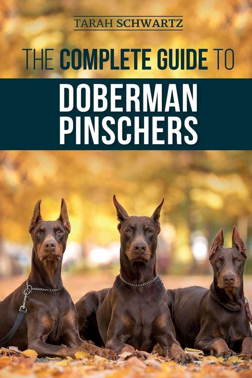 Produktbild: The Complete Guide to Doberman Pinschers