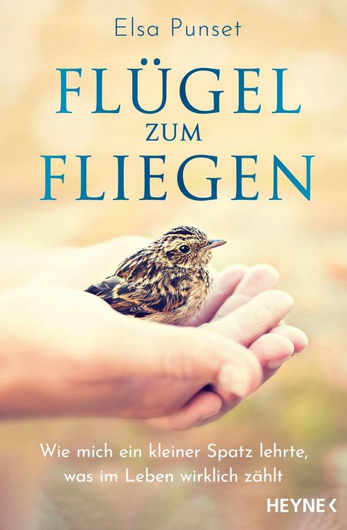 Produktbild: Fl&uuml;gel zum Fliegen